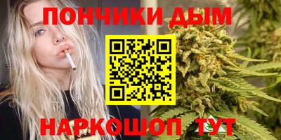прущие грибы Тверь