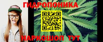прущие грибы Тверь