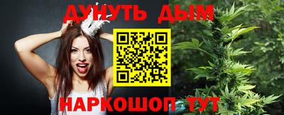 прущие грибы Тверь