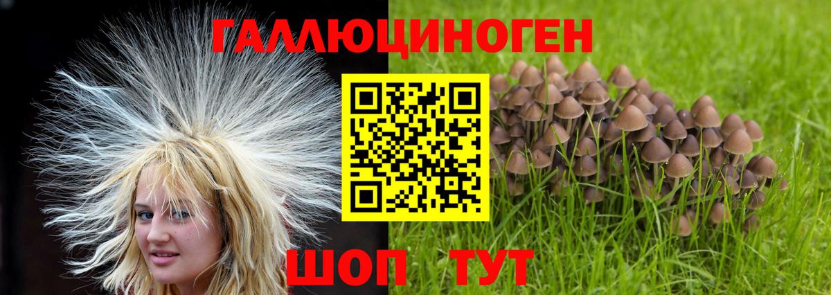 Псилоцибиновые грибы MAGIC MUSHROOMS  Вход с VPN  Каменка 